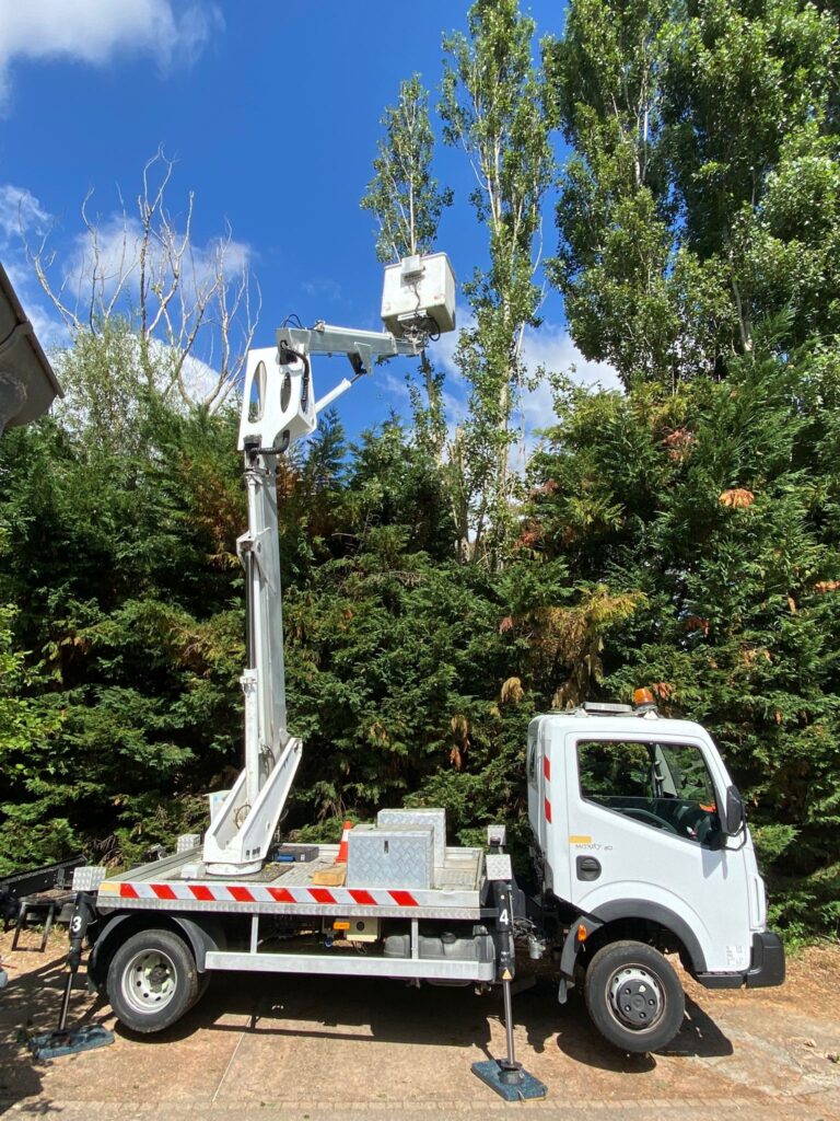 Élagage d'arbre avec nacelle