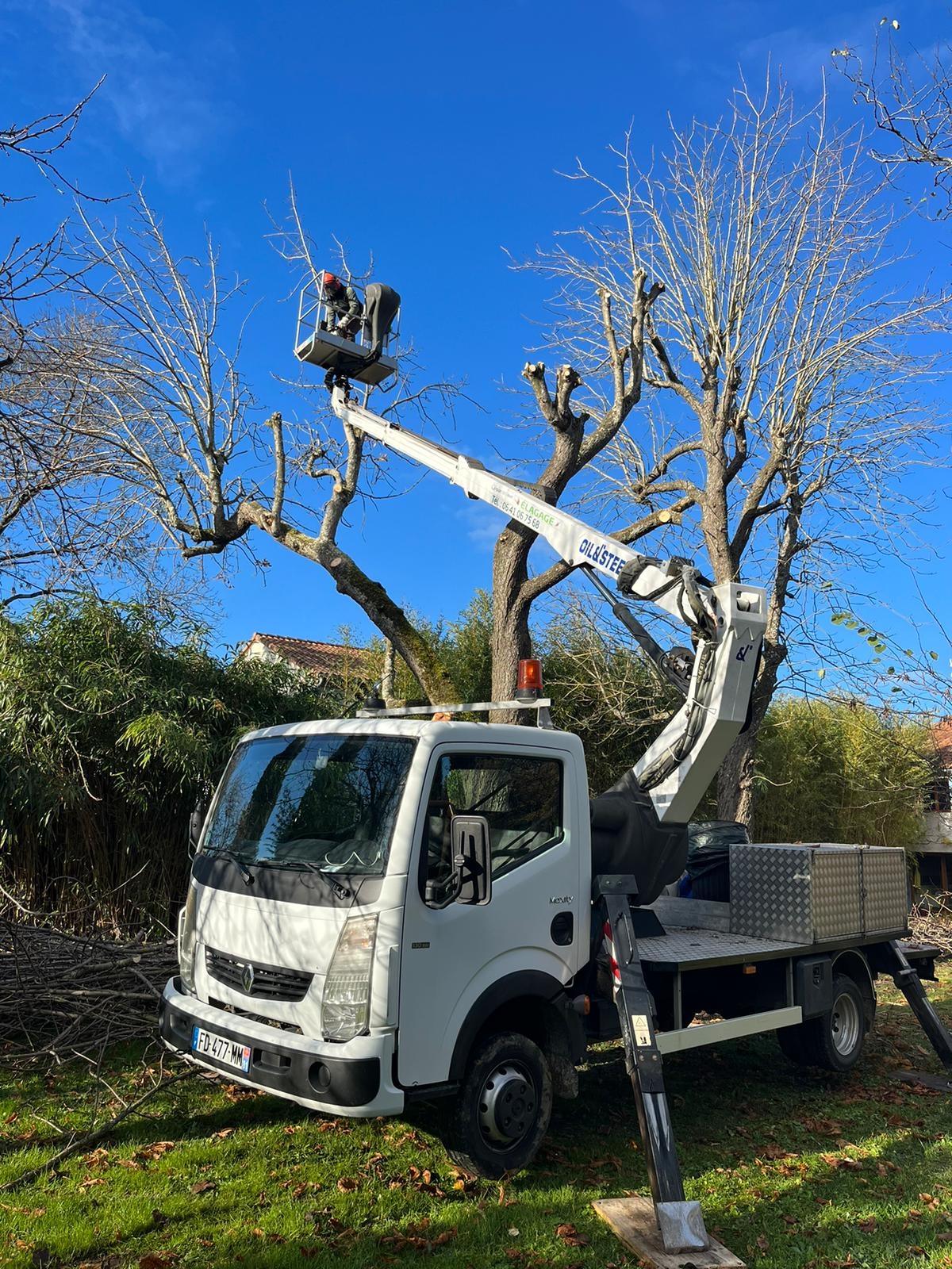 élagage arbre avec nacelle
